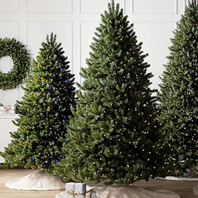 BALSAM BRANDS Christmas trees