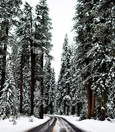 Snowy street