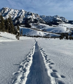 Snow trail